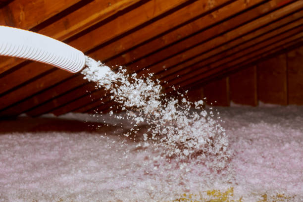 Best Energy Efficiency Solutions in Lenox, IA