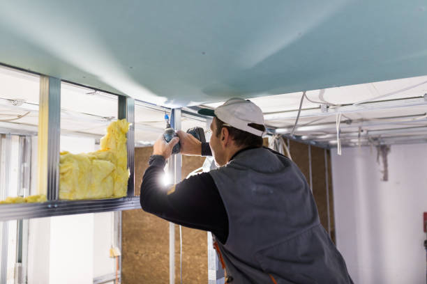 Best Residential Insulation in Lenox, IA