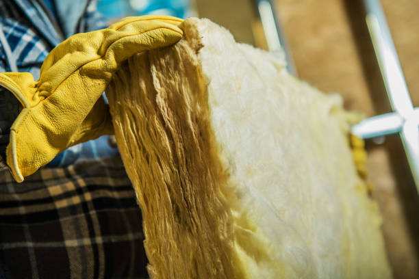 Best Commercial Insulation in Lenox, IA